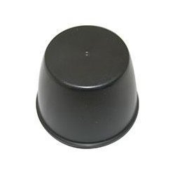 Centerkapsel til Jubilumsflg