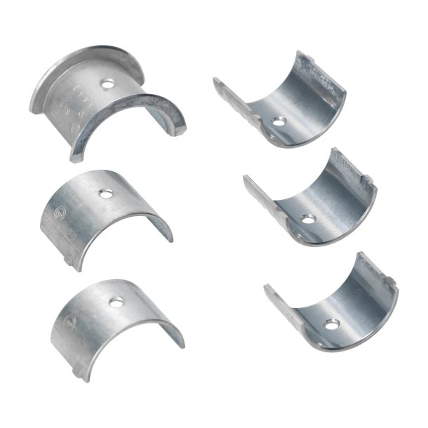 Knastlejer STD Glyco Type 1