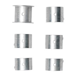 Knastlejer STD Glyco Type 1