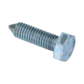 .Bolt for anlgsskive